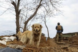 顿涅茨克炮击造成4人死亡