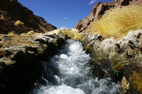 世界法院审理智利诉玻利维亚关于锡拉拉河权利的诉讼
