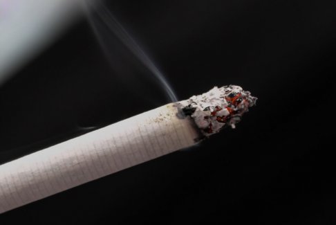 世界无烟日 中国每年超百万人因烟草失去生命