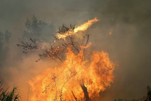 欧洲热浪引发多国野火 西班牙葡萄牙20多起野火