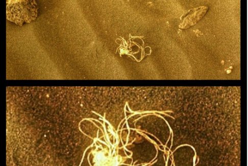 美国宇航局漫游者在火星上发现神秘的“面条状”物