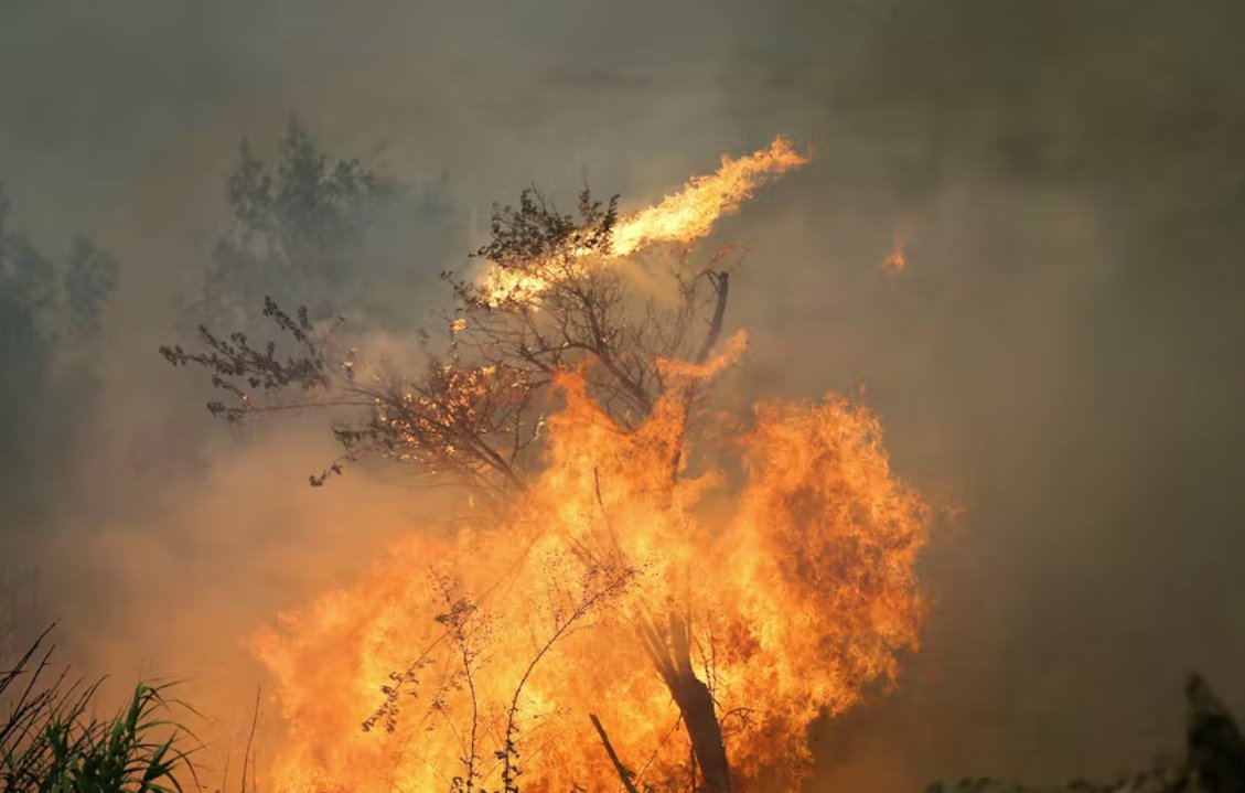 欧洲热浪引发多国野火 西班牙葡萄牙20多起野火