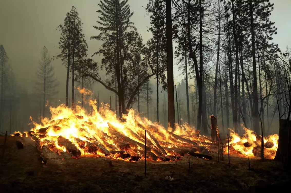加州森林火灾 加州橡树大火迅速蔓延