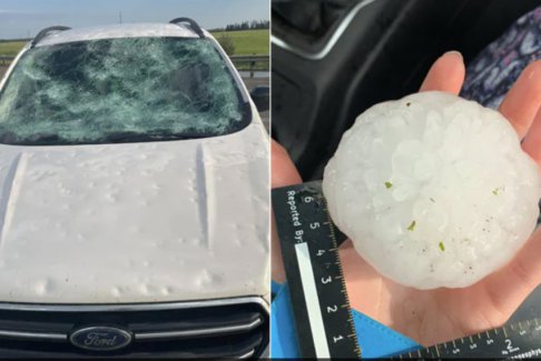 加拿大冰雹“葡萄柚大小”的冰雹砸碎数十辆汽车