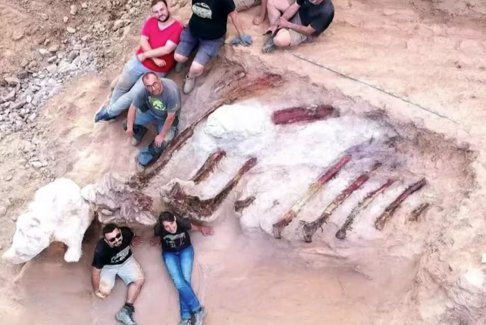 葡萄牙出土大型恐龙骨骼遗骸化石
