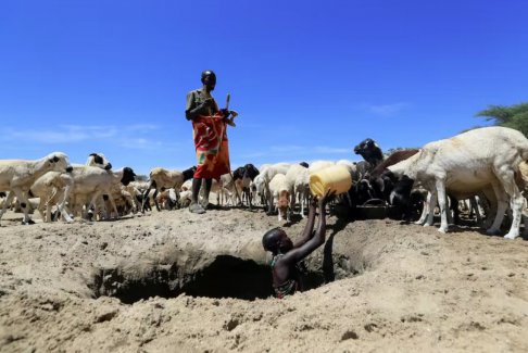 肯尼亚北部面临饥饿危机 极度干旱牲畜大量死亡