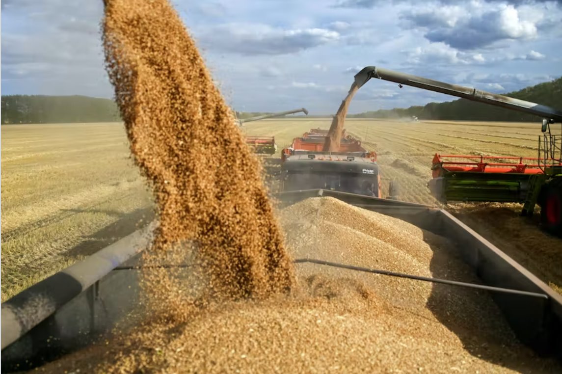 俄罗斯可能开始向其粮食部长的进口商提供贸易融资