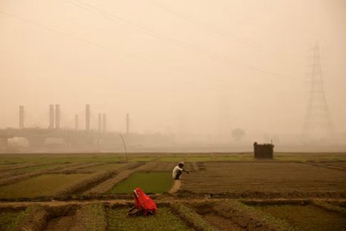雾霾笼罩着印度首都新德里