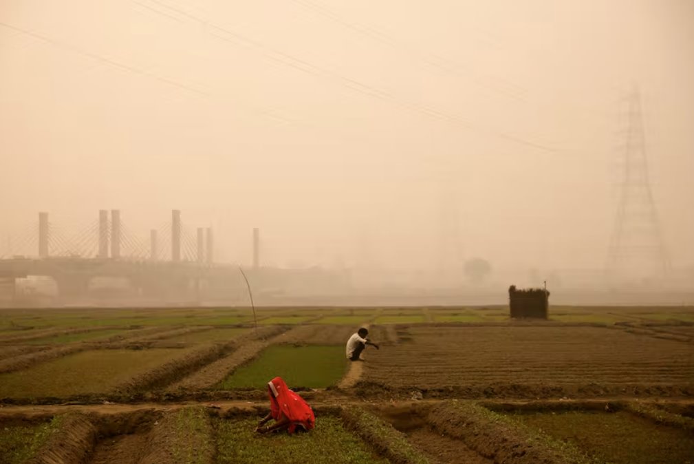 雾霾笼罩着印度首都新德里