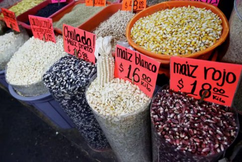 美国应争端小组要求升级墨西哥玉米贸易争端