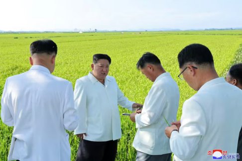 朝鲜金正恩视察受台风袭击的农田