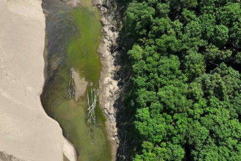 巴西成立特别工作组应对亚马逊地区前所未有的干旱