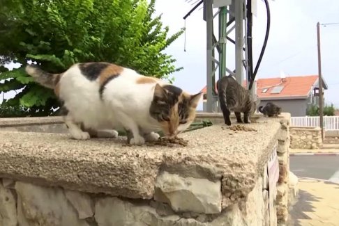 以色列在加强地面攻击时猛烈攻击加沙北部