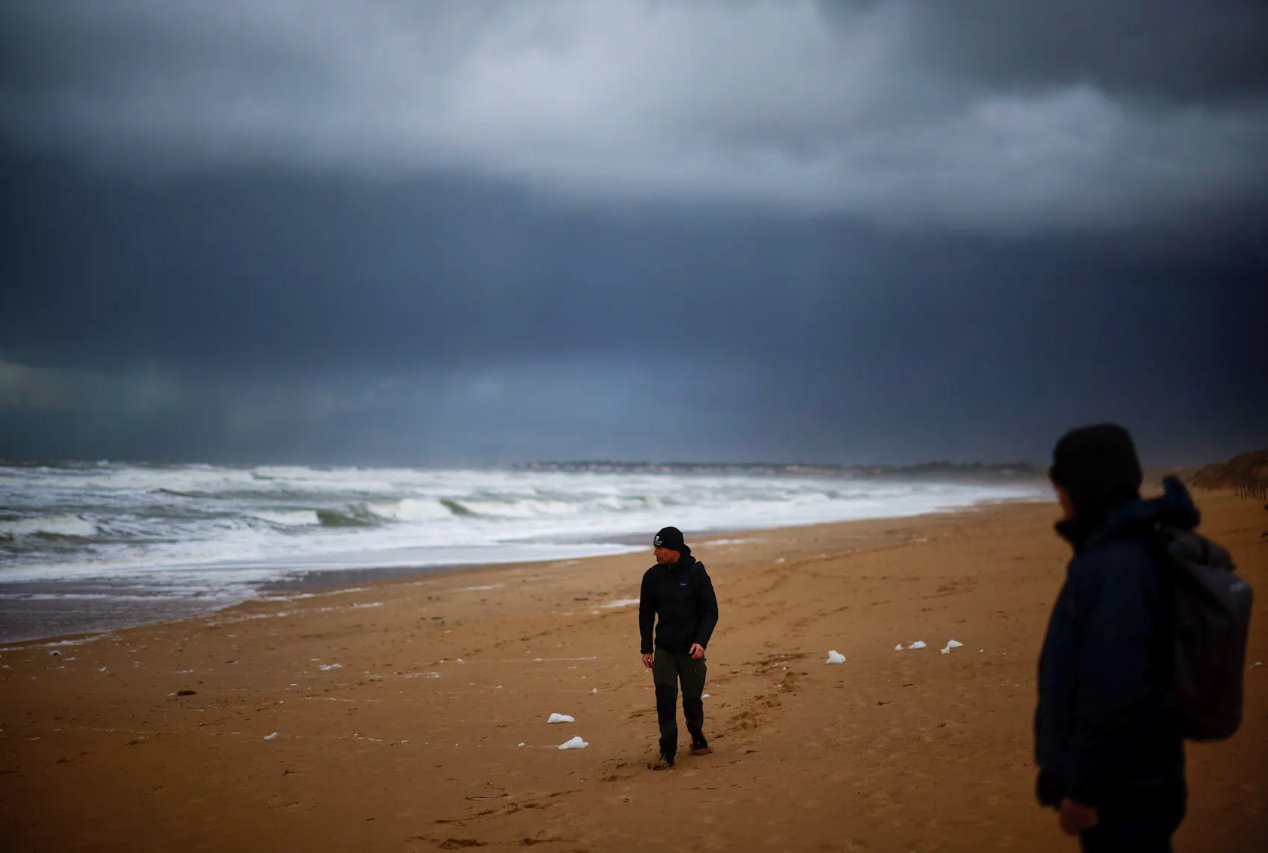 2024年3月5日，法国海洋守护者协会成员在法国滨海布雷蒂尼奥勒的海滩上行走，寻找搁浅的海鸟。