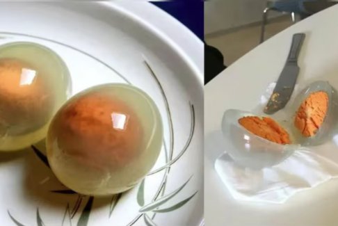 企鹅蛋煮熟后会变透明？科学怎么说