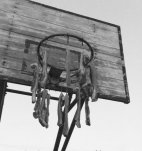 图文：网友发篮球筐挂腊肉趣图